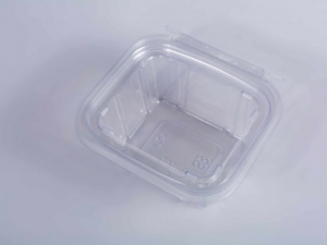 16oz PET Tamper Evident Hinged Lid Containers With Locks~Tamper Proof Plastic Container